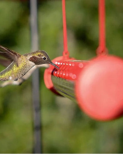 Flower Bar Hummingbird Feeder - Libiyi