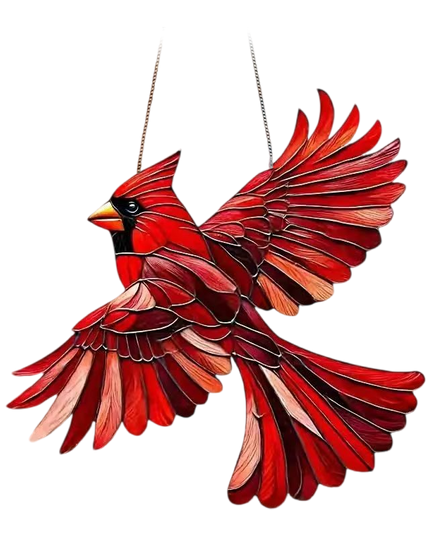 Outfany Spirit Birds-FR - Libiyi