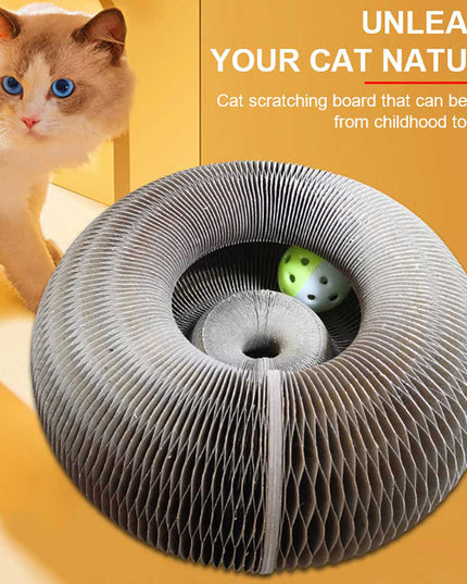 Libiyi Magic Organ Cat Scratch Board. - Libiyi