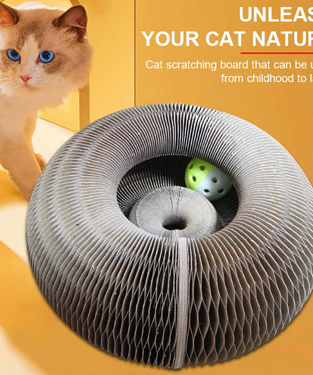 Libiyi Magic Organ Cat Scratch Board. - Libiyi