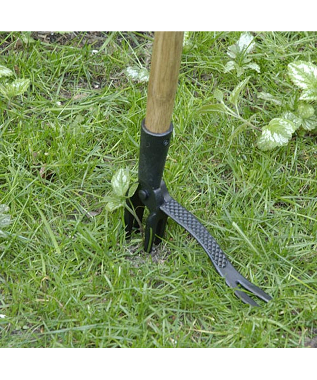 Libiyi Weed Puller - Libiyi