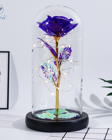 Fanyil Eternal Rose-fr - Libiyi