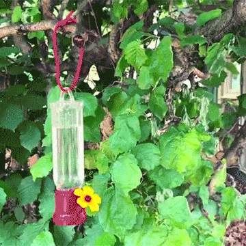 🔥Annual Offer - New Leak-Proof Design Hummingbird Feeder (4 Pack) - Libiyi