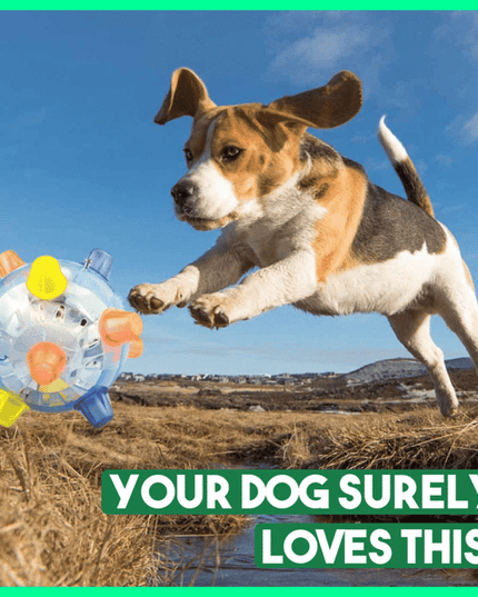 Libiyi™ Pet Ball  Endless Entertainment for Your Furry Friend! - Libiyi
