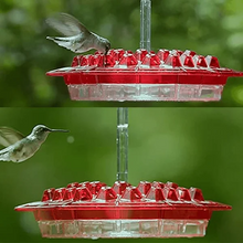 Load image into Gallery viewer, Shirem Sweety Hummingbird Feeder - Libiyi