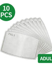 Filtros PM2.5 extras (10PCS)